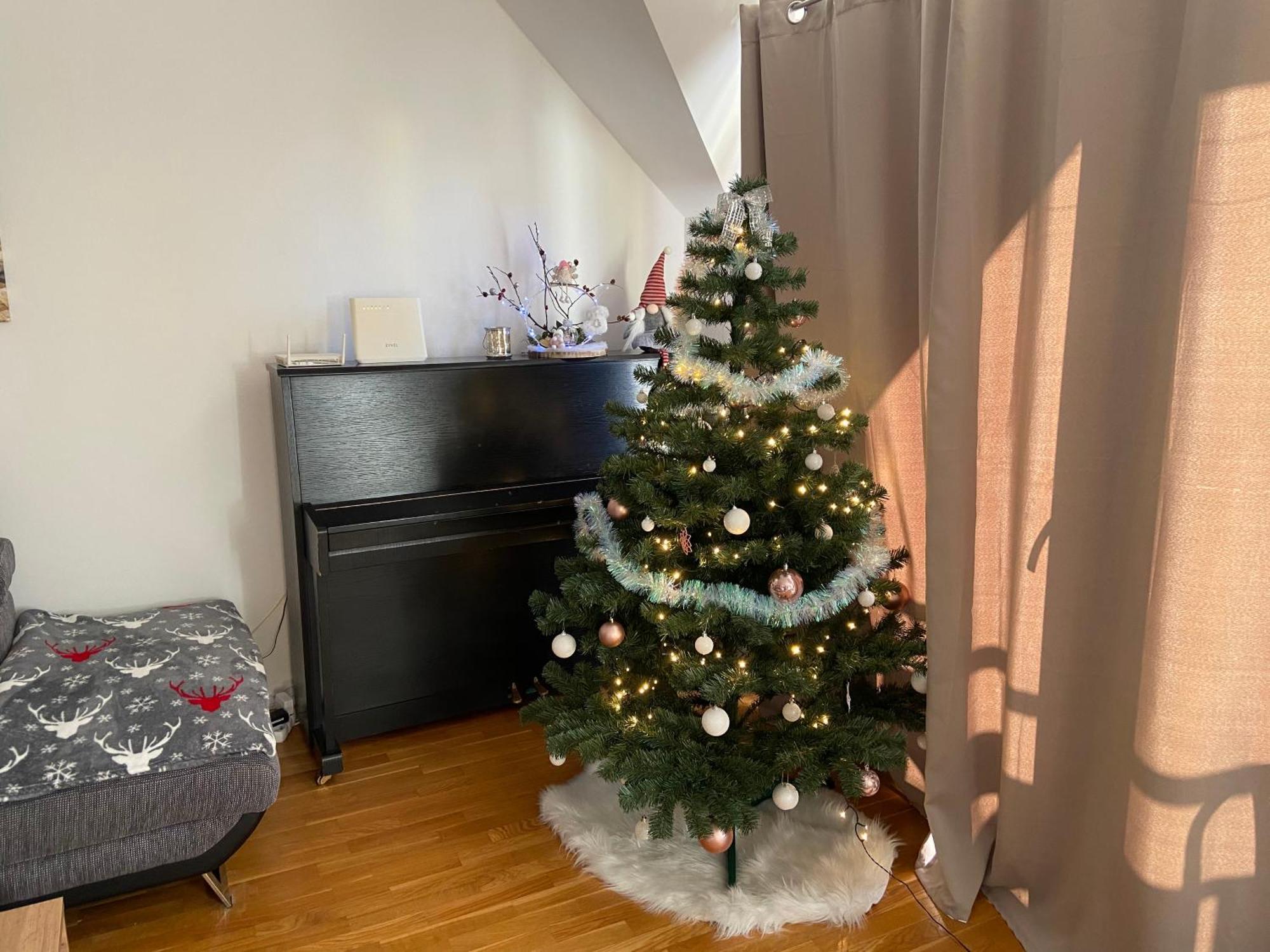 Apartman Juli Tatranská Lomnica Exteriör bild